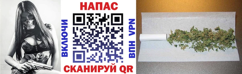 Каннабис ГИДРОПОН закладки Сычёвка